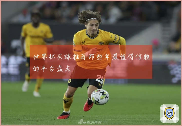 世界杯买球推荐那些年最值得信赖的平台盘点