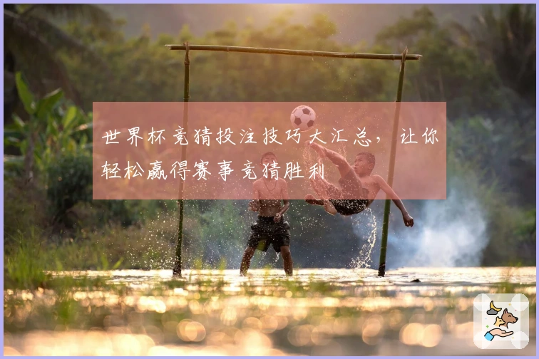 世界杯竞猜投注技巧大汇总，让你轻松赢得赛事竞猜胜利