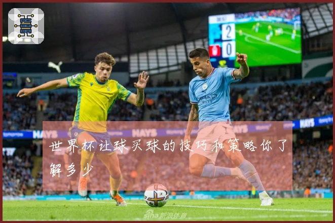 世界杯让球买球的技巧和策略你了解多少