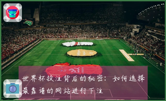 世界杯投注背后的秘密：如何选择最靠谱的网站进行下注
