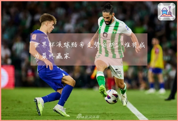 世界杯滚球赔率走势分析：谁将成为最终赢家