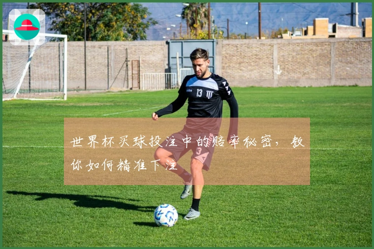 世界杯买球投注中的赔率秘密，教你如何精准下注
