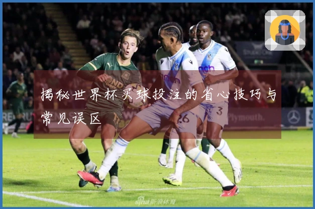 揭秘世界杯买球投注的省心技巧与常见误区