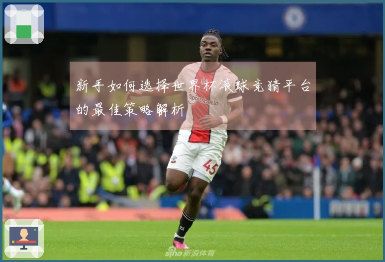 新手如何选择世界杯滚球竞猜平台的最佳策略解析