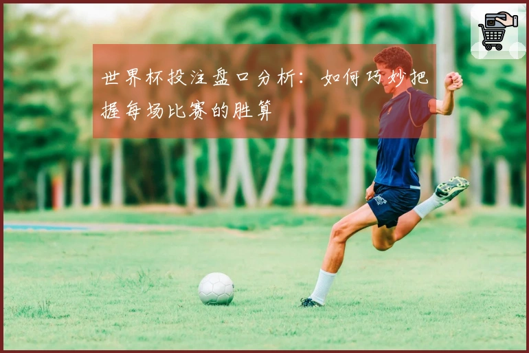 世界杯投注盘口分析：如何巧妙把握每场比赛的胜算
